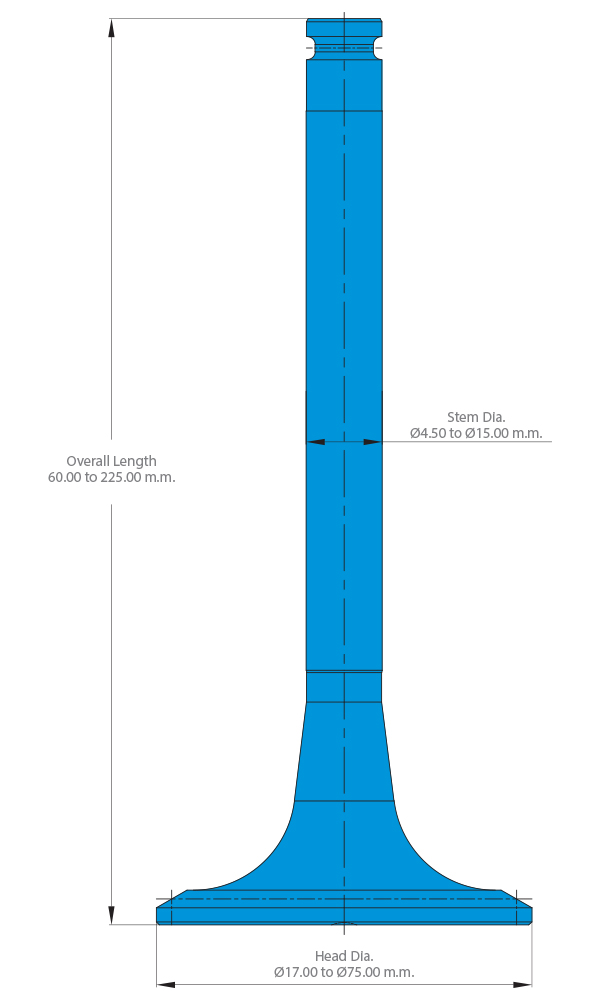 Our Capability for Engine Valves<